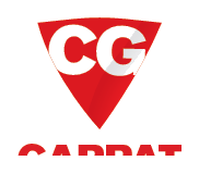 Carpat Guard
